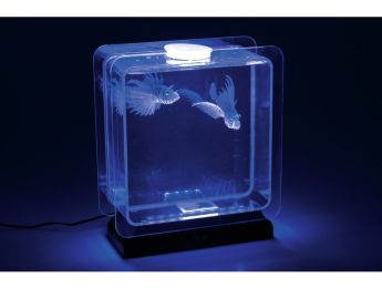 LÂMPADA DE AQUÁRIO Peixes