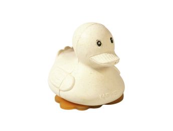 JEU D'EAU Canard