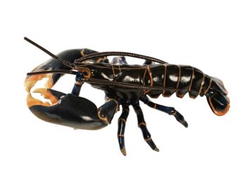 FIGURINE HOMARD