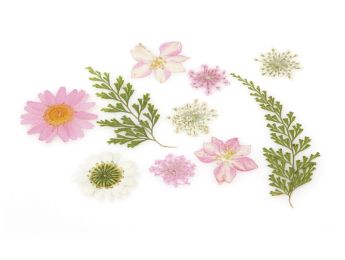 GEPRESSTE GETROCKNETE BLUMEN