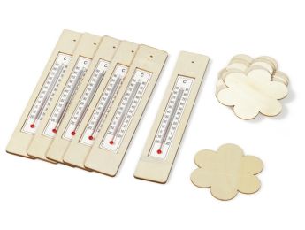THERMOMÈTRES FLEURS À DÉCORER