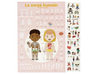POSTER XXL ET GOMMETTES Le corps humain