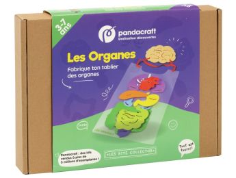 KIT PANDACRAFT Les organes