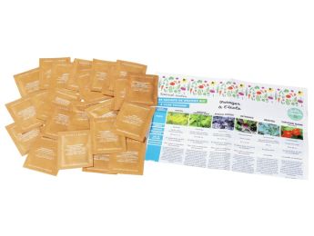COFFRET POTAGER À L'ÉCOLE 24 variétés
