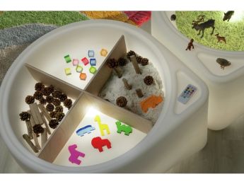 CERCLE DE TRI EN BOIS Pour table sensorielle lumineuse