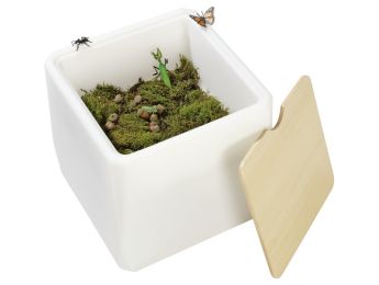 SET ZINTUIGLIJKE MINIBAK De natuur