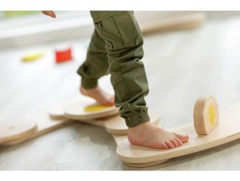 LOT de 5 animaux totems en bois Scogym Évolution