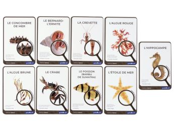 FICHES PÉDAGOGIQUES Océan