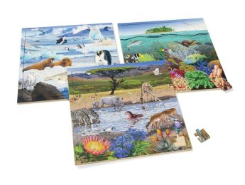 MAXISET PUZZELS MET APP