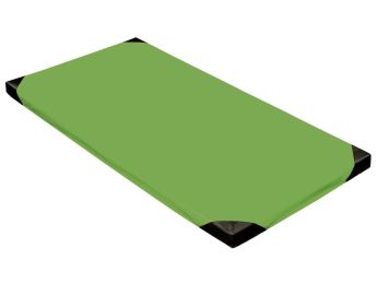 TAPIS DE RÉCEPTION L: 200 cm - l: 100 cm - ép: 7 cm