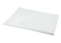 BRISTOL PAPER 170 g Raisin format (65 x 50 cm)