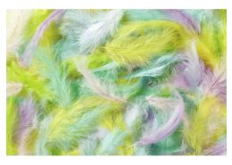 FEATHER PASTEL