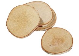 WOOD SLICES TO DECORATE