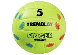 TRAINING VOLLEY BALL Size 5