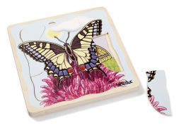 LIFE CYCLE PUZZLE Animals the butterfly
