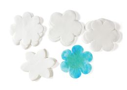 DIFFUSION PAPER Flowers
