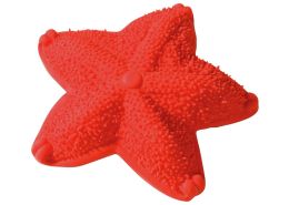 TEETHING RATTLE Starfish