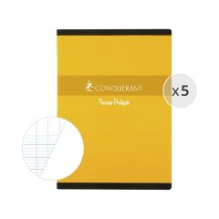 LOT DE 5 CAHIERS DE TRAVAUX PRATIQUES 24x32 cm - 96 pages
