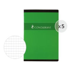 LOT DE 5 CAHIERS 21x29,7 cm - 96 pages Petits carreaux