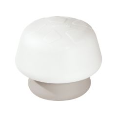 CHAMPIGNON LUMINEUX
