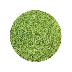 TRANSLUCENT DECORATIVE BASE FOR SENSORY TABLES Nature