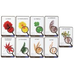 FICHES PÉDAGOGIQUES Plantes