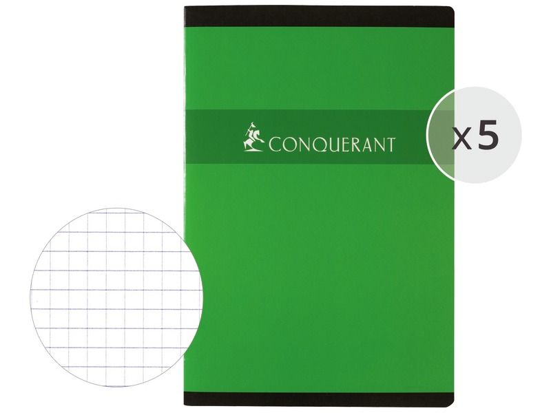 LOT DE 5 CAHIERS 21x29,7 cm - 96 pages Petits carreaux