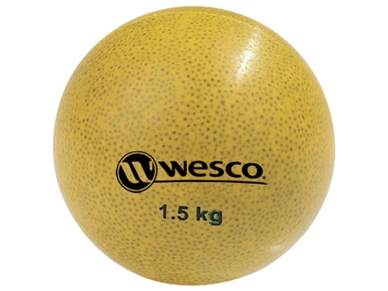 Progressive WEIGHTED BALLS 1.5 kg