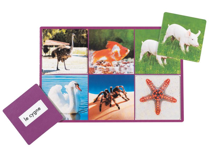 Loto Photo Les Animaux