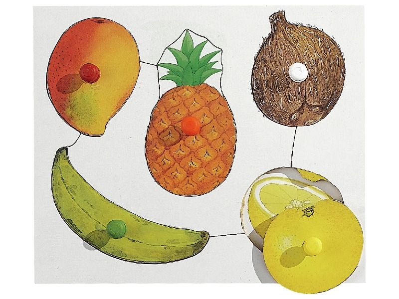 LIFT-OUT PUZZLE Fruits No.1
