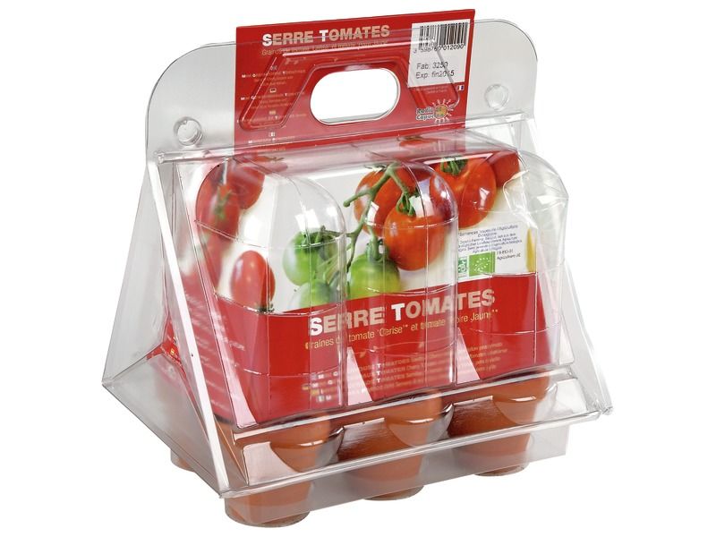 MINITREIBHAUS 6 TÖPFE Tomaten Kirschtomate, gelbe Birnentomate