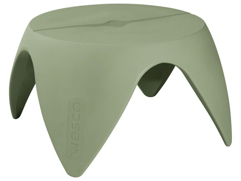 TABLE Flora