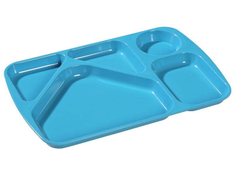 COMPARTMENT TRAY 5 compartments
