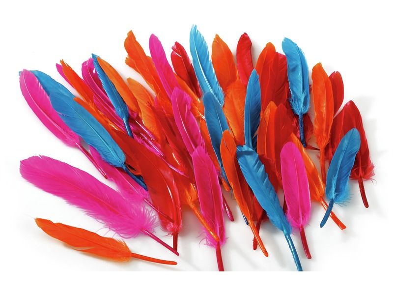 INDIAN FEATHERS