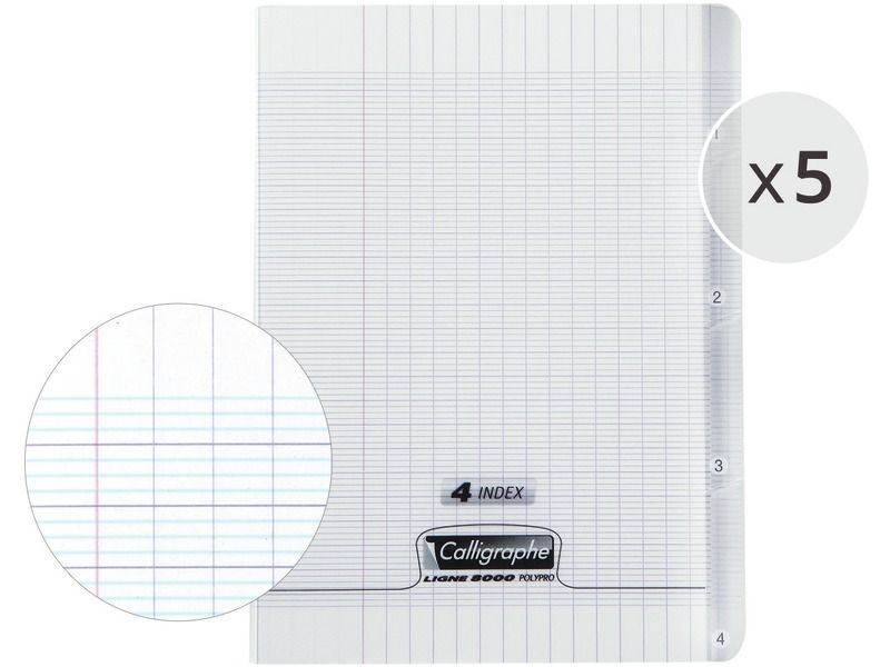 LOT DE 5 CAHIERS POLYPRO 4 index 17x22 cm - 140 pages