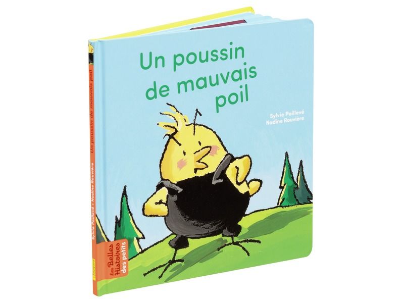 MAXI LOT LES BELLES HISTOIRES DES PETITS