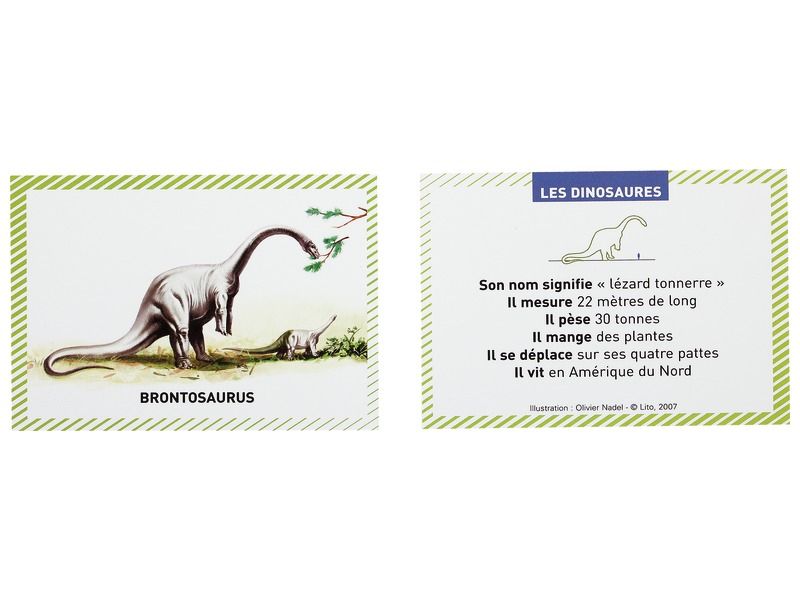 100 BONS POINTS Dinosaurs
