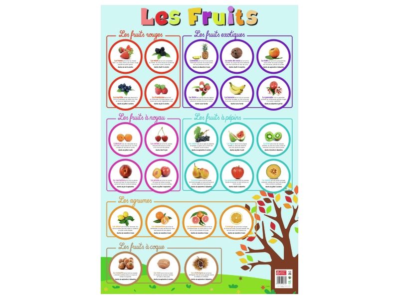 POSTER Fruits