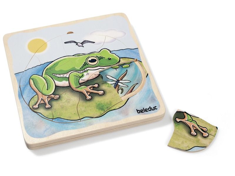 LIFE CYCLE PUZZLE Animals Frog