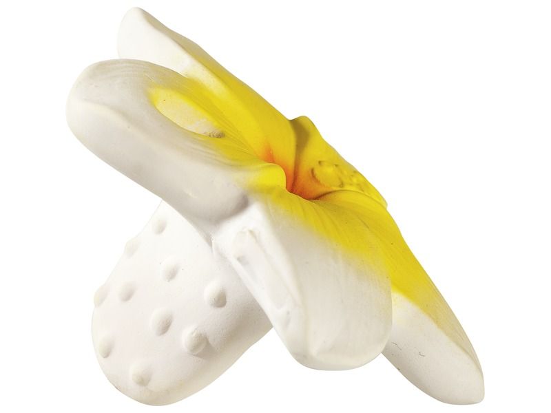 TEETHING RATTLE Flower container