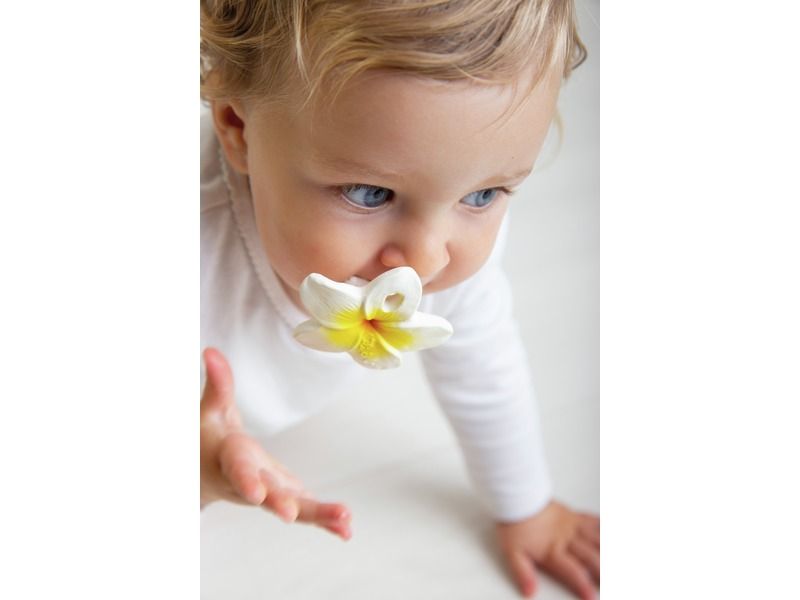 TEETHING RATTLE Flower container