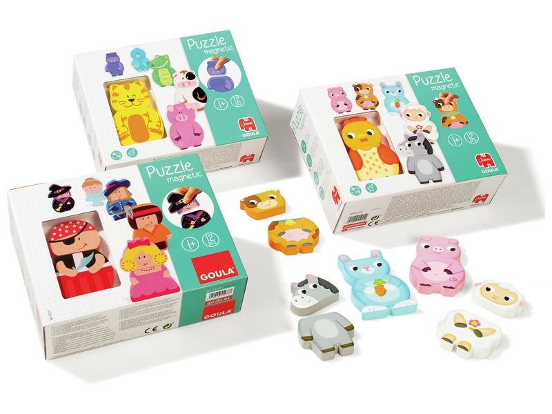INTERCHANGEABLE MAGNETIC PUZZLE MAXI PACK