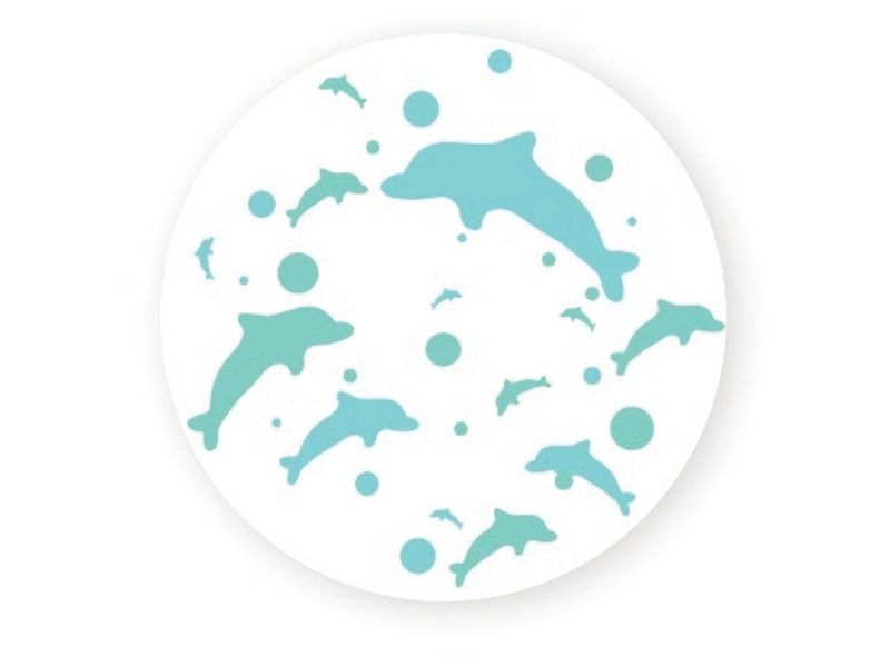 BOUTEILLE SENSORIELLE Dauphins