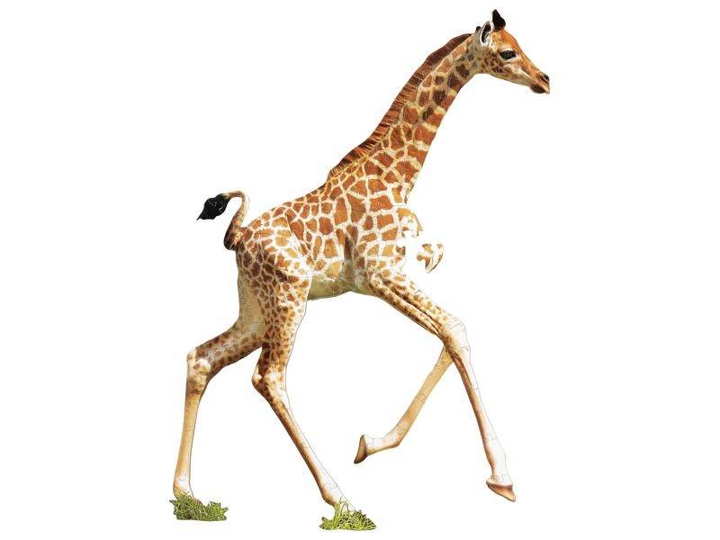 PUZZLE I AM LIL Giraffe