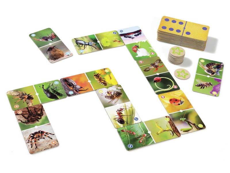 GIANT PHOTO DOMINOES Insects