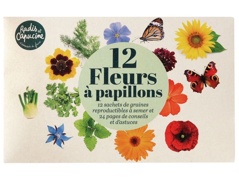 JARDINER LES FLEURS À PAPILLONS