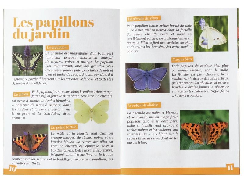JARDINER LES FLEURS À PAPILLONS