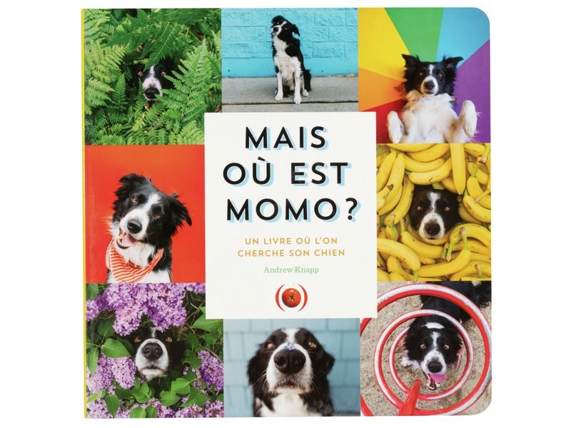 CHERCHE ET TROUVE PHOTOS Où est Momo ?