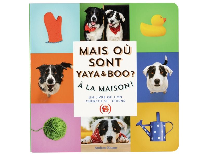 CHERCHE ET TROUVE PHOTOS Où sont Yaya et Boo ?