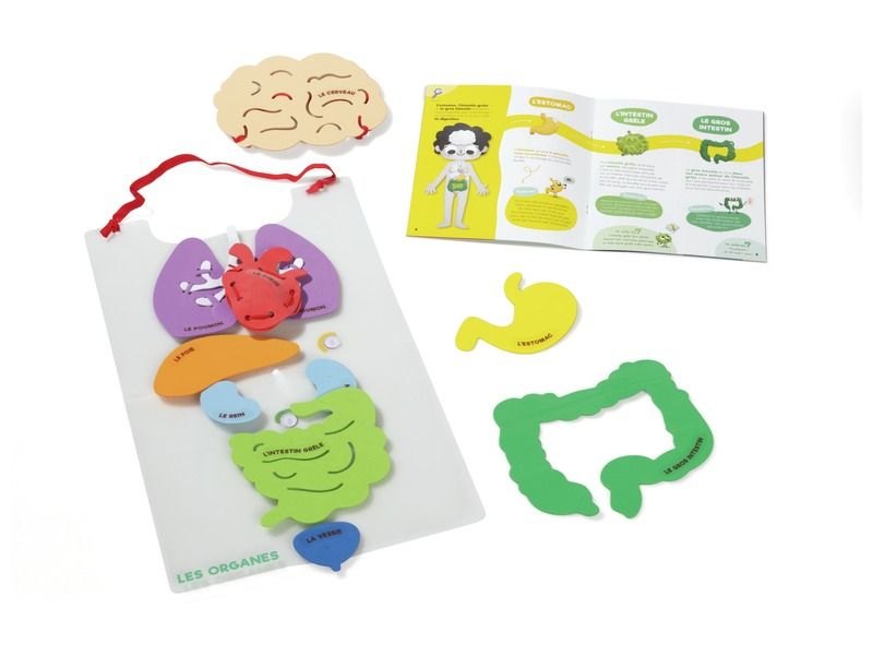 KIT PANDACRAFT Les organes